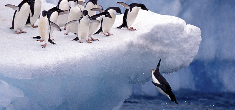 Werkzaamheden voorbereiden